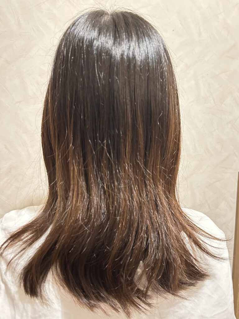 フエッタリッチ使用前の髪