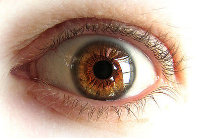 瞳の色でパーソナルカラーが分かる 判別方法を詳しく解説 似合う が見つかる Mira ミラ